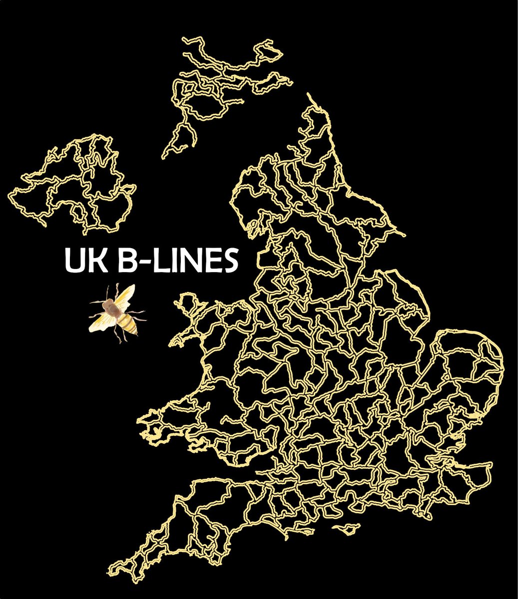 B-Lines Pollinator Corridors