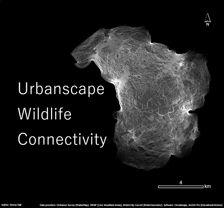 Urbanscape Connectivity
