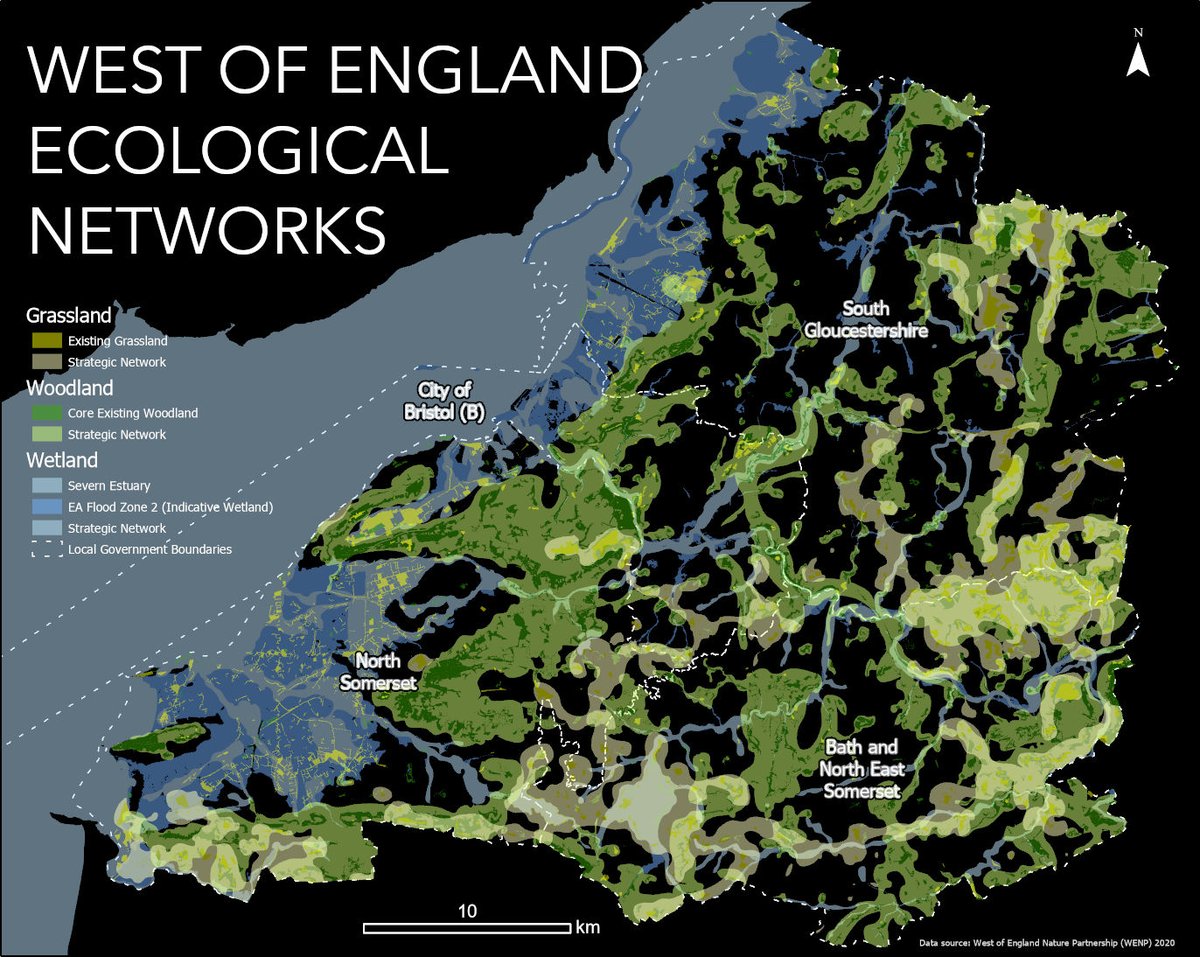 WENP Network Analysis